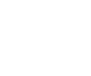 RCA-Regional-Clash-Arena.png