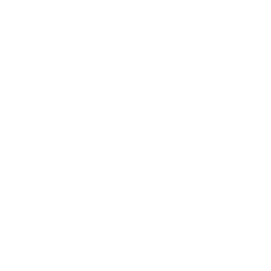 WSL.png